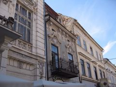 IMG 3977