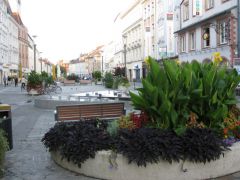 IMG 4644