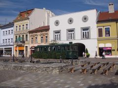 IMG 3942