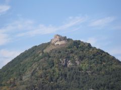 IMG 3872