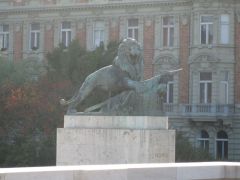 IMG 6626
