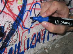 IMG 5156