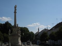 IMG 4136
