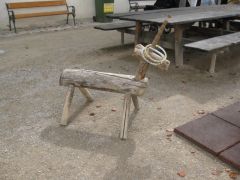 IMG 4841