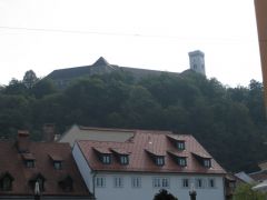 IMG 6366