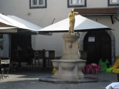 IMG 6374