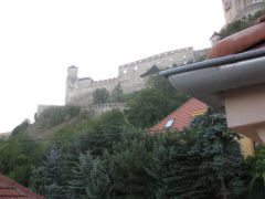IMG 4054