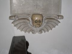 IMG 4781