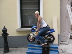 IMG 4541