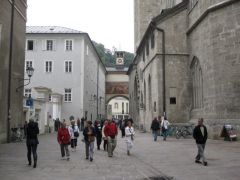 IMG 4769