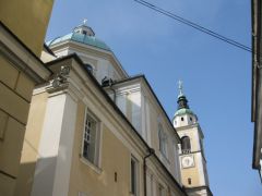 IMG 6329