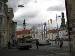 IMG 4547