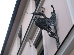 IMG 4675
