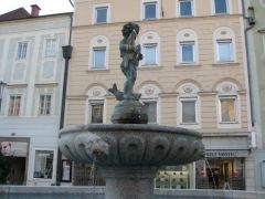 IMG 4639