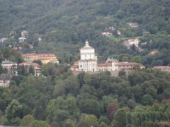 IMG 5494