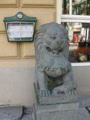 IMG 4499