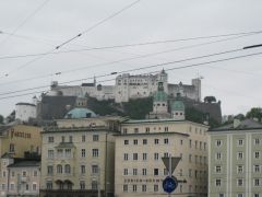 IMG 4731