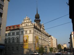 IMG 6438