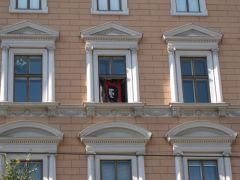 IMG 4431