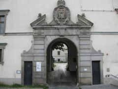 IMG 4601