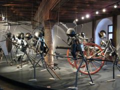 IMG 4829
