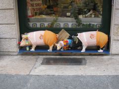 IMG 5160