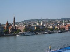 IMG 6599