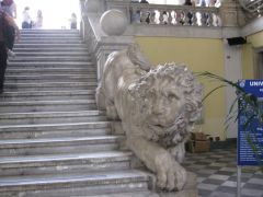 IMG 5590