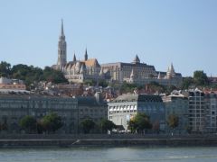 IMG 6597