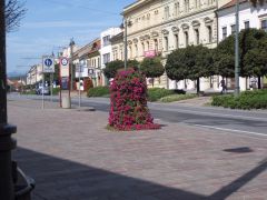 IMG 3882