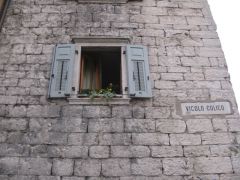 IMG 5087