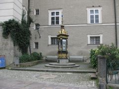 IMG 4739
