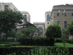 IMG 5356