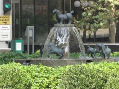 IMG 6360