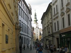 IMG 4194
