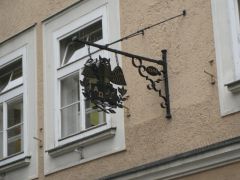 IMG 4736