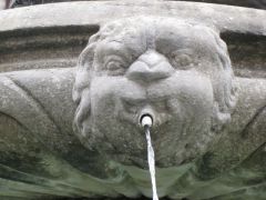 IMG 4524