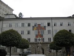 IMG 4782