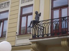 IMG 3913