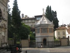 IMG 5274