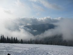 IMG 7003