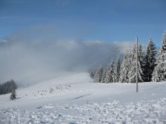 IMG 7000