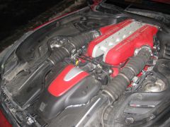 IMG 7208