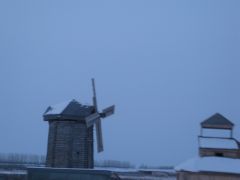 IMG 7339