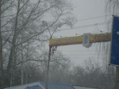 IMG 7331