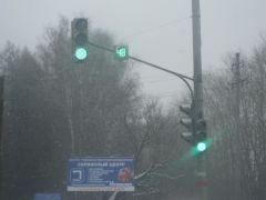 IMG 7333