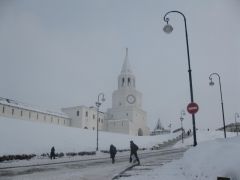 IMG 7376