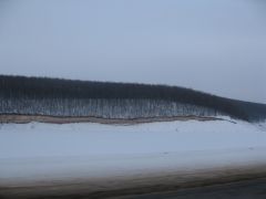 IMG 7336