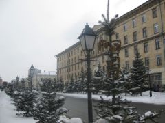 IMG 7427