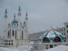 IMG 7418